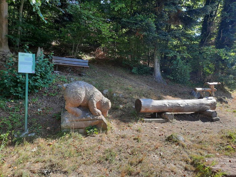 Studio Soleil Au Hohwald Eksteriør bilde