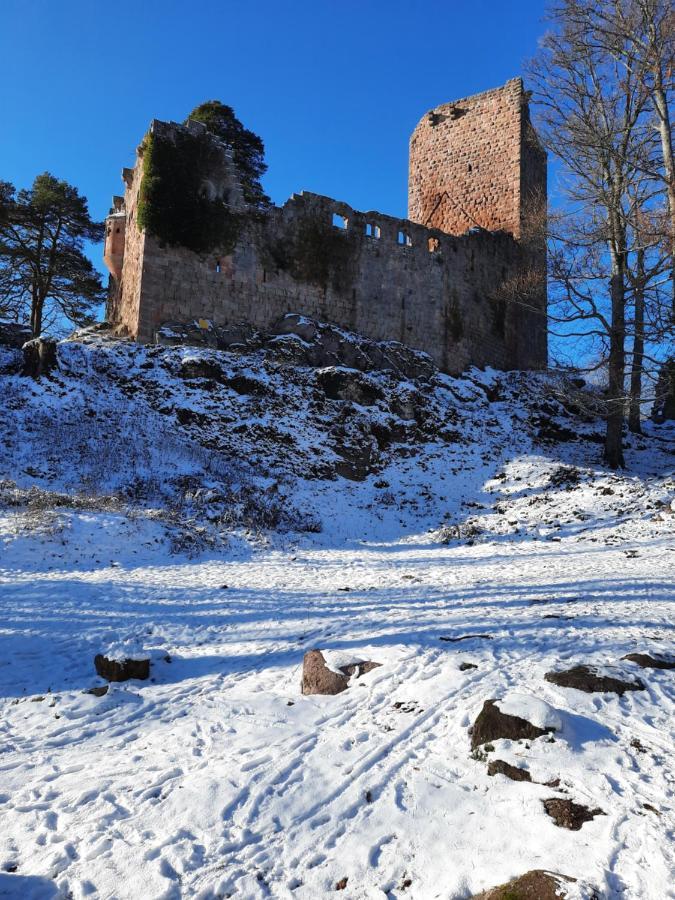 Studio Soleil Au Hohwald Eksteriør bilde