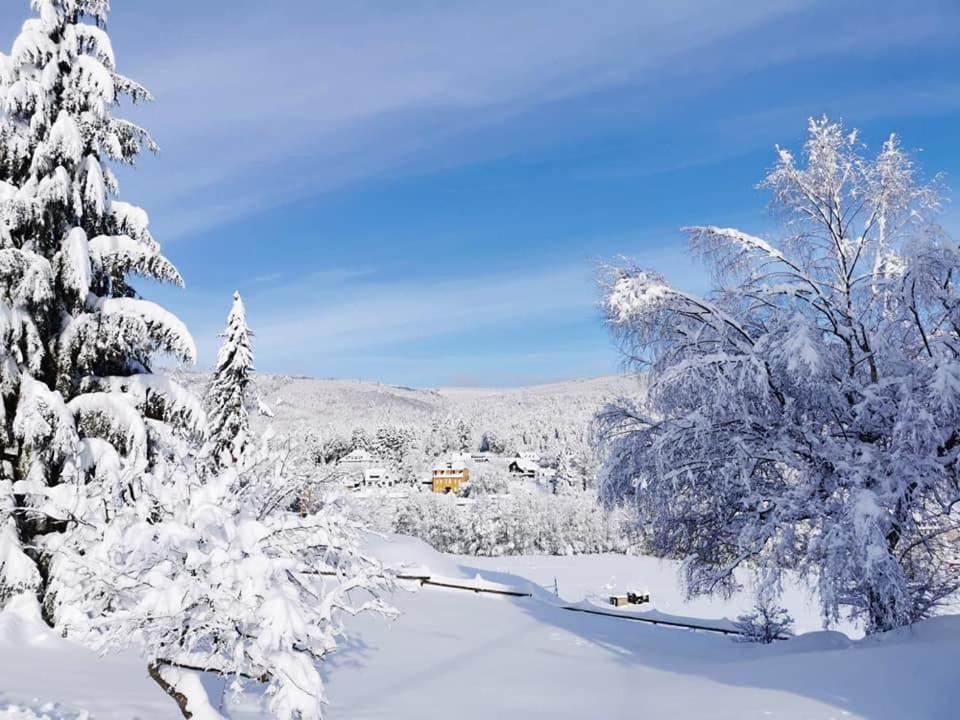 Studio Soleil Au Hohwald Eksteriør bilde